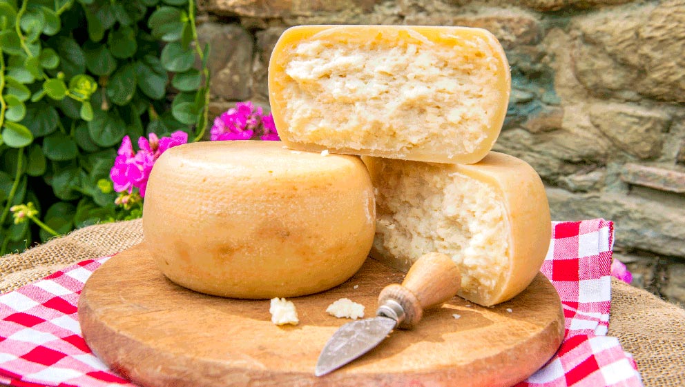 Pecorino Cheese