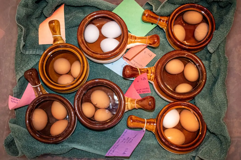 Waterglass Eggs