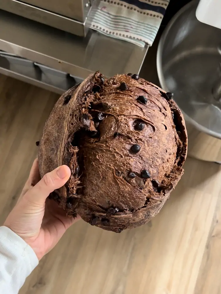 Chocolate Sourdough Bread