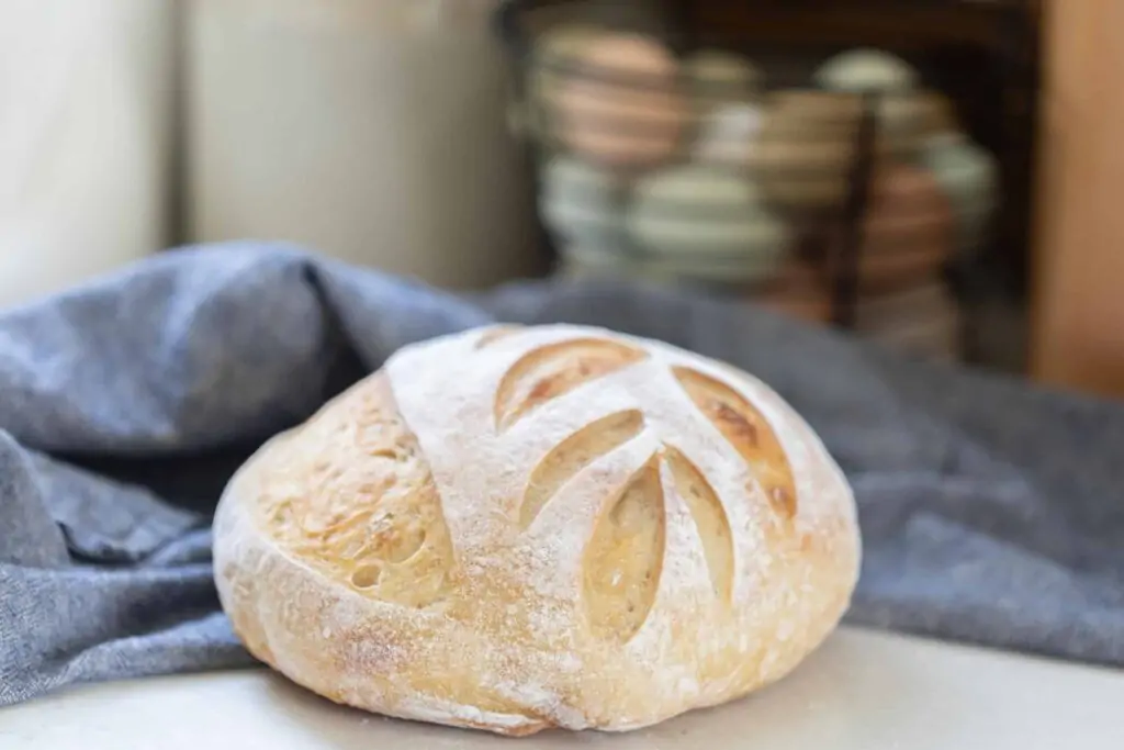 Same Day Sourdough Bread