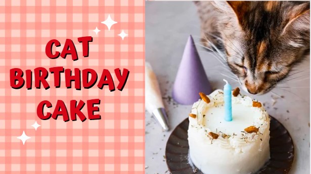 Super Cute Cat Birthday Cake Recipe