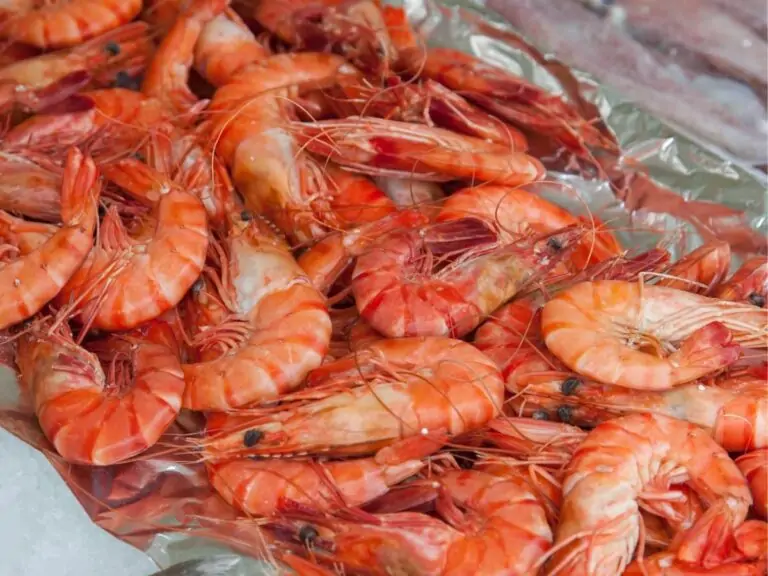 Shell Yeah! Dive into the Different Types of Shrimp